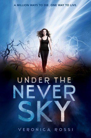 under the never sky