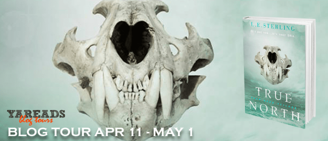 true-north-le-sterling-blog-tour