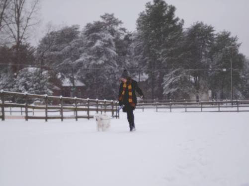 Snow_angela and aussie