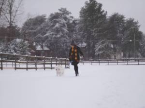 Snow_angela and aussie