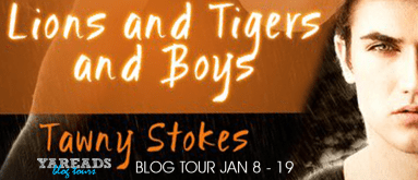 Lions Tigers and Boys Banner