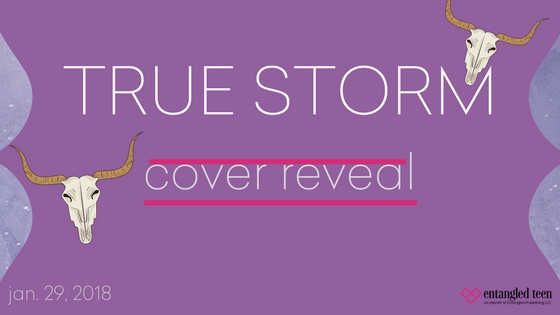 Cover Reveal | True Storm | pooled ink