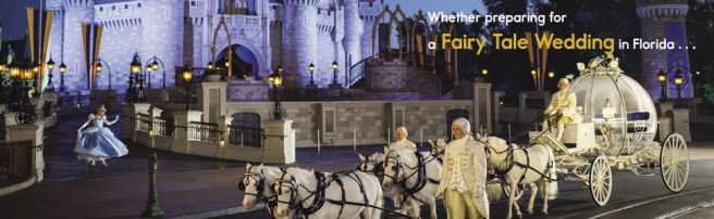 One Day at Disney banner 2