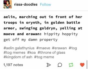 Throne of Glass Tumblr funny