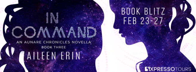 in-command-book-blitz-banner
