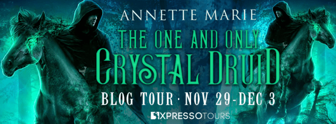 theoneandonlycrystaldruidtourbanner